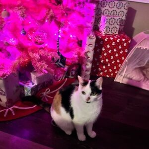 Bundle to save with Lacey!!
Over 30% off discounts on 3 or more items !